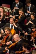 OTO - Bando di Audizione per il ruolo di Violino
