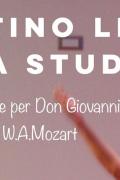 2019 Trentino Lirica Opera Studio Bando Audizione per Don Giovanni di W.A.Mozart
